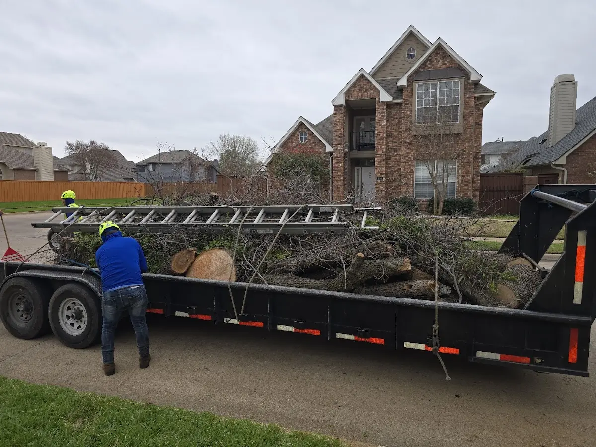 Expert Tree Removal with proper safety equipment in Monticello